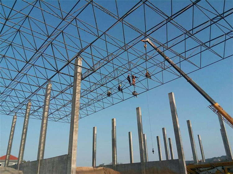 海南加气站钢结构网架案例10
